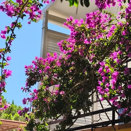 La Grande Terrazza Di Holiday home