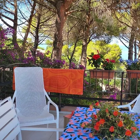 La Grande Terrazza Di *